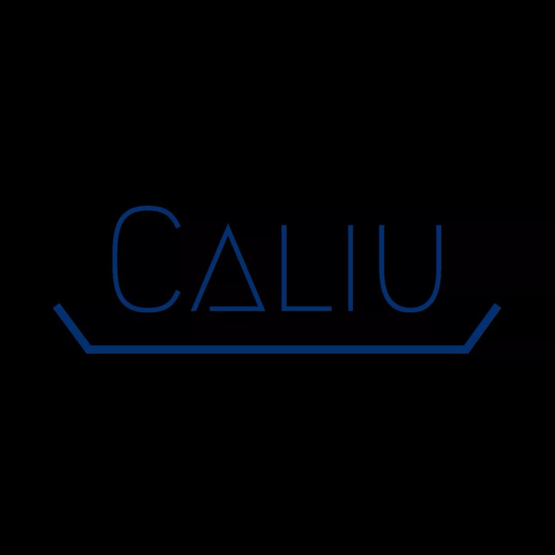 Caliu Olleria Bar