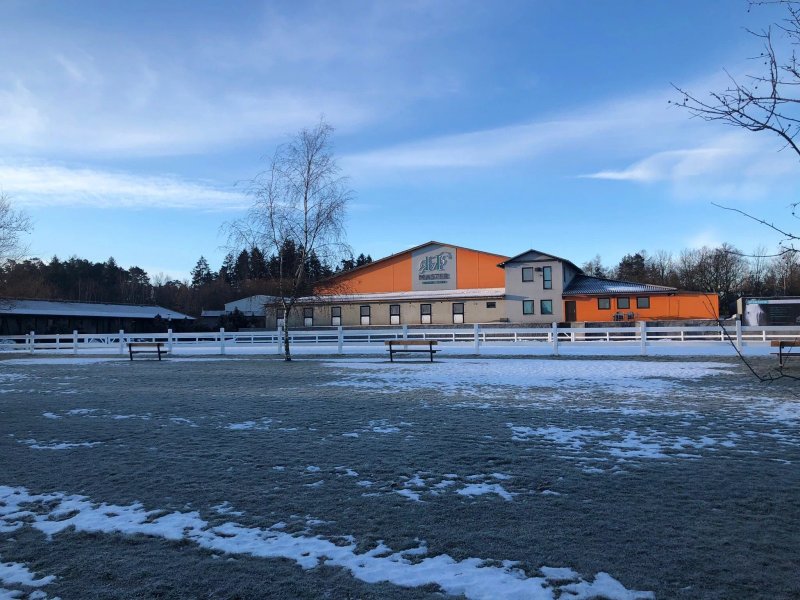 Master Horse Club - Svojetice
