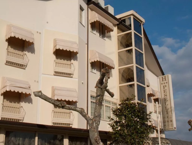Hotel Peselli