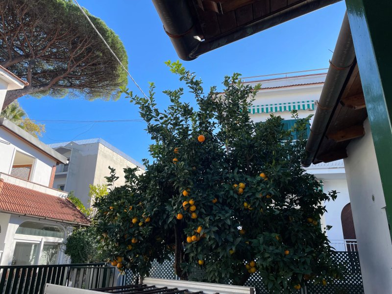 Enjoy Home Sorrento