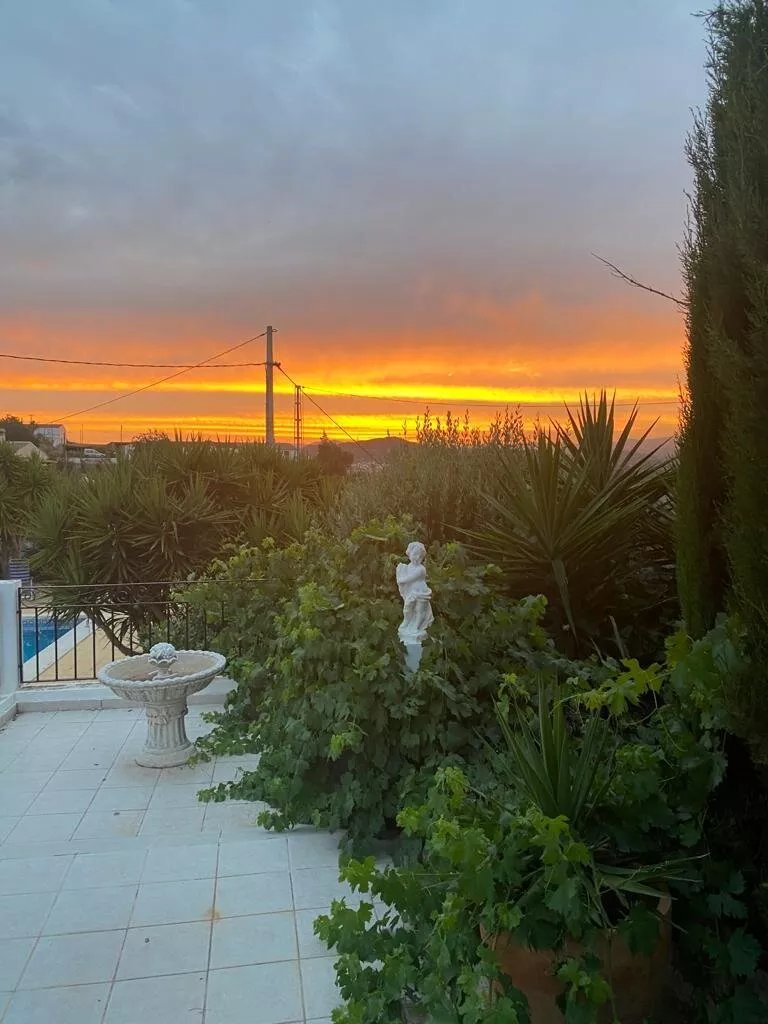 Lavender Lodge Almeria