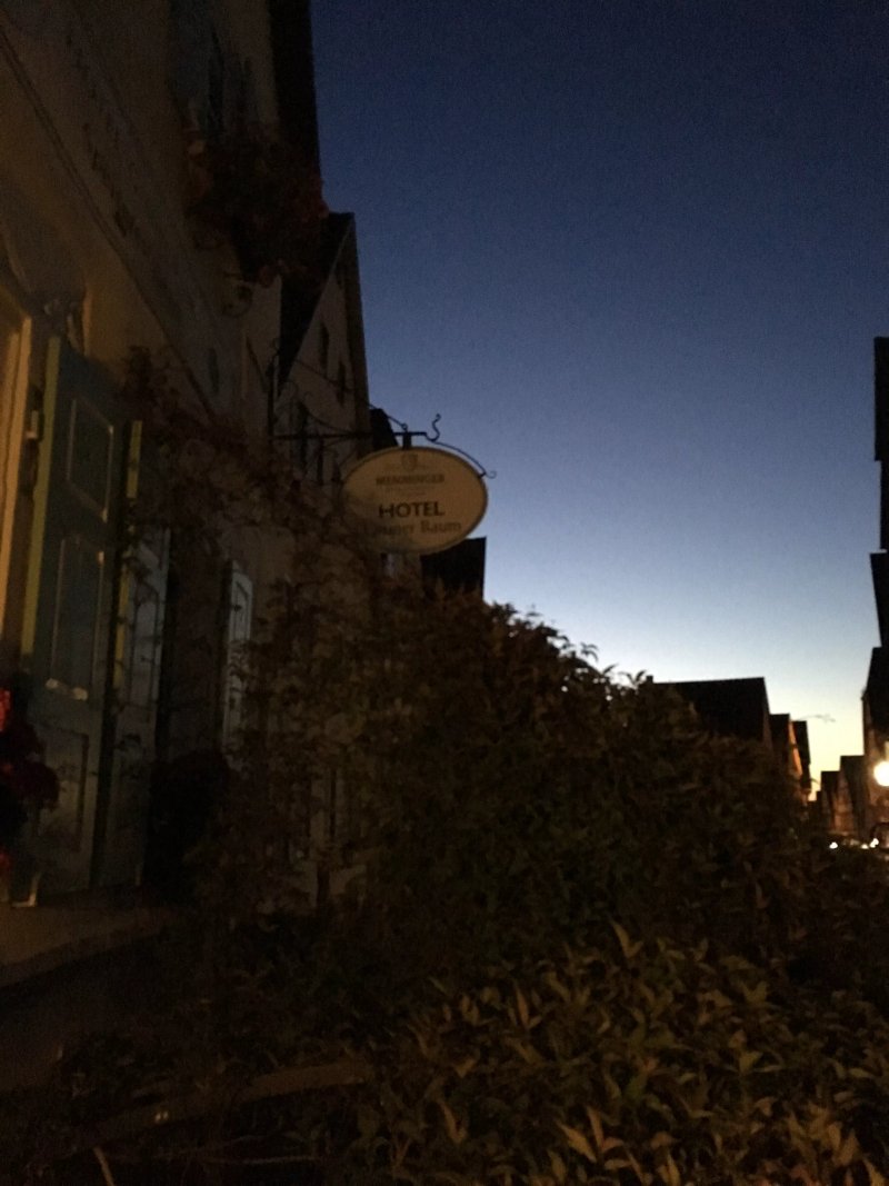 Hotel Gruner Baum