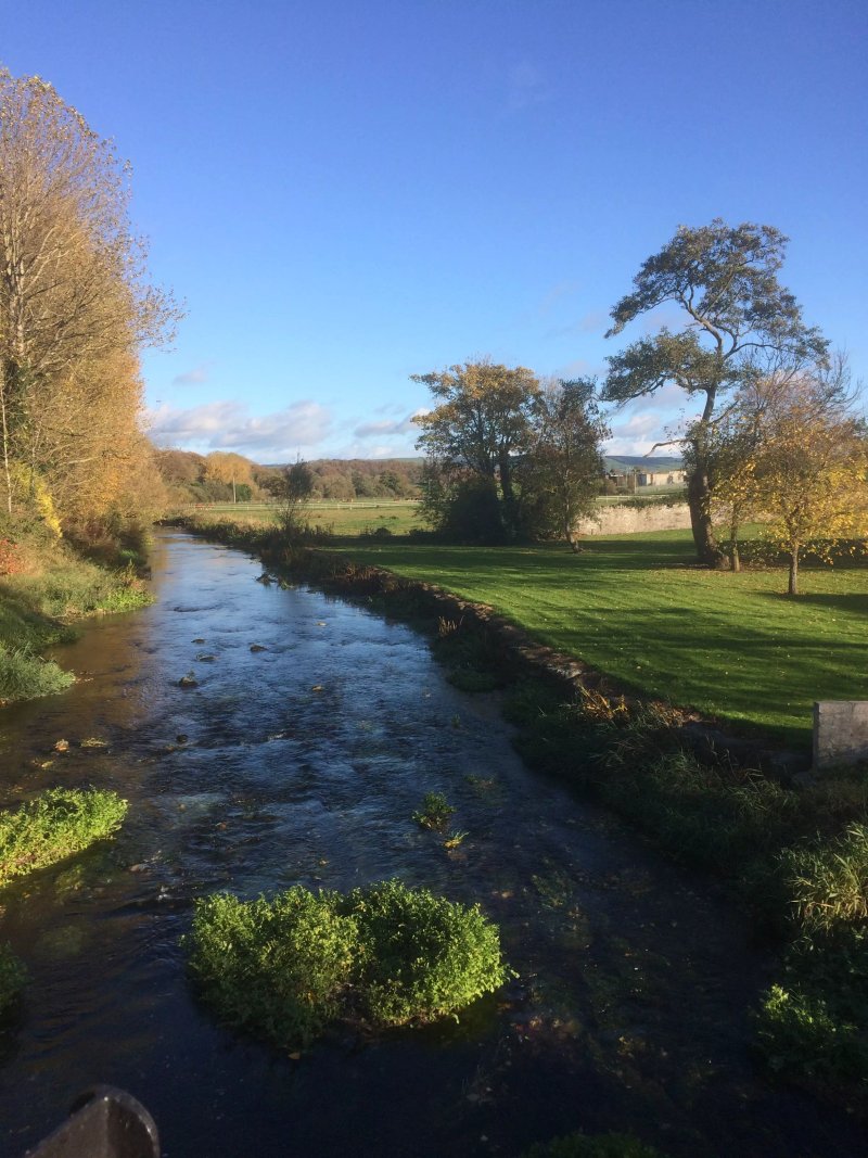The Ashbrook Arms Restaurant and Guesthouse