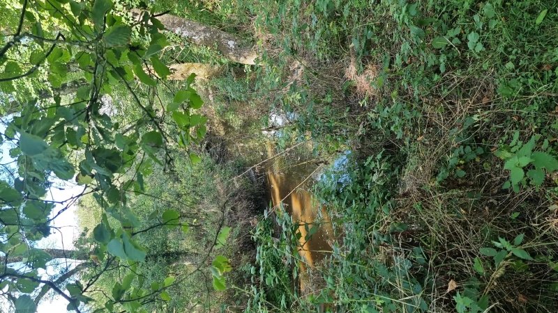Volehouse Nature Reserve