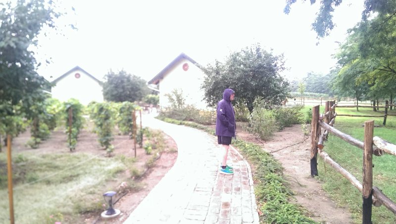 Béni Family Wine Farm