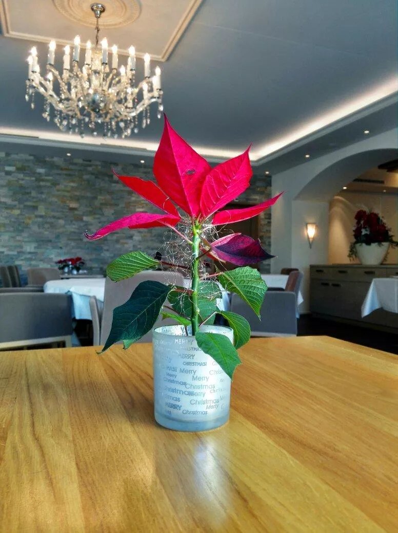 Krone Buochs - Hotel & Restaurant