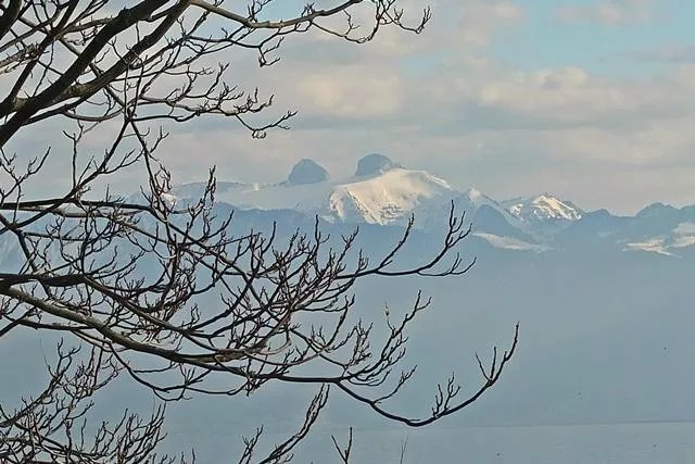La Pinte Vaudoise