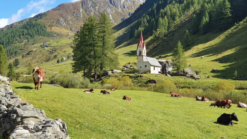 Appartement Niederkofler