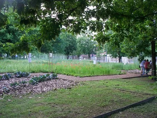 Museo botanico "Aurelia Josz"