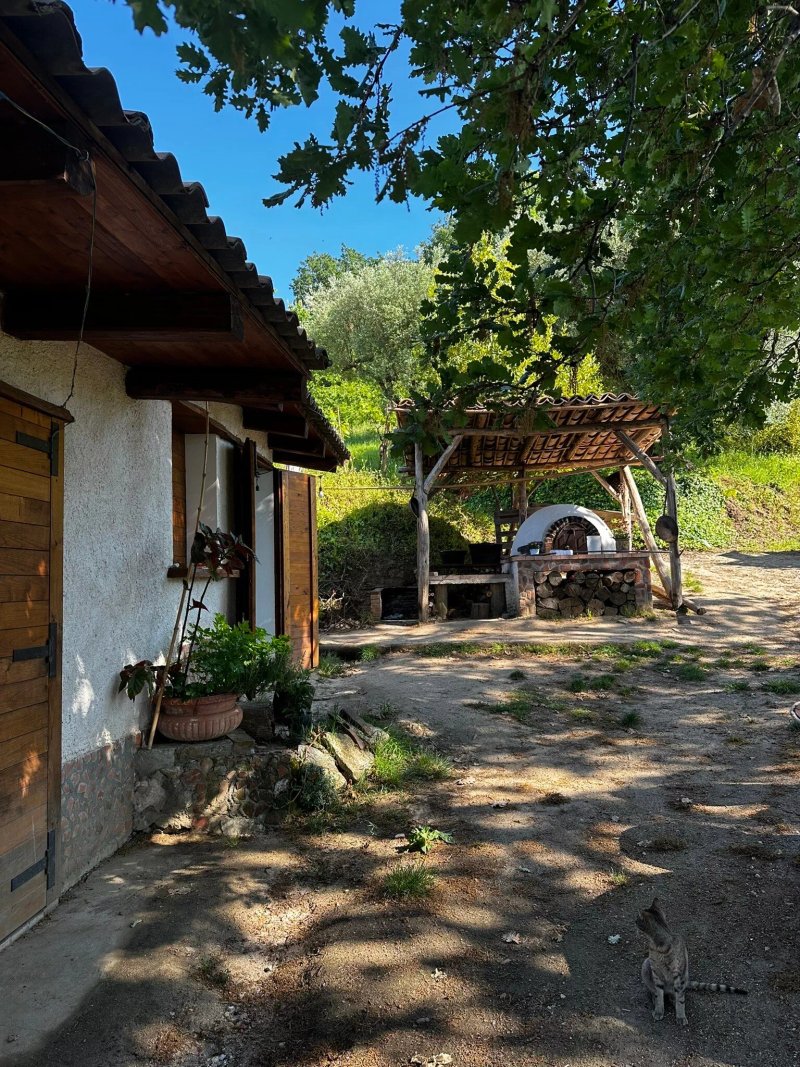 La Quercia Nella Valle Dei Mulini