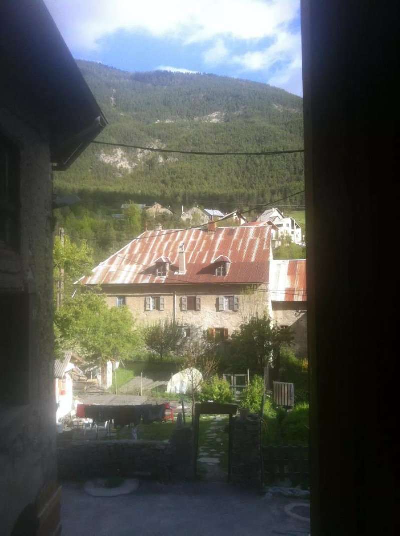 Le Petit Phoque