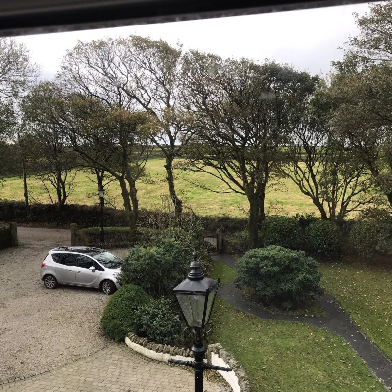 Loscombe House Bed and Breakfast