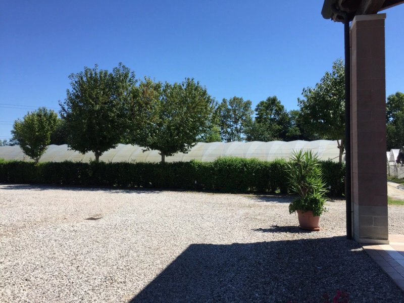 Agricampeggio Il Girasole
