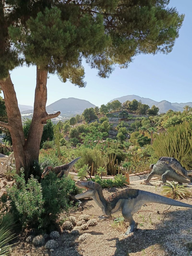 Camping Fonts Del Algar
