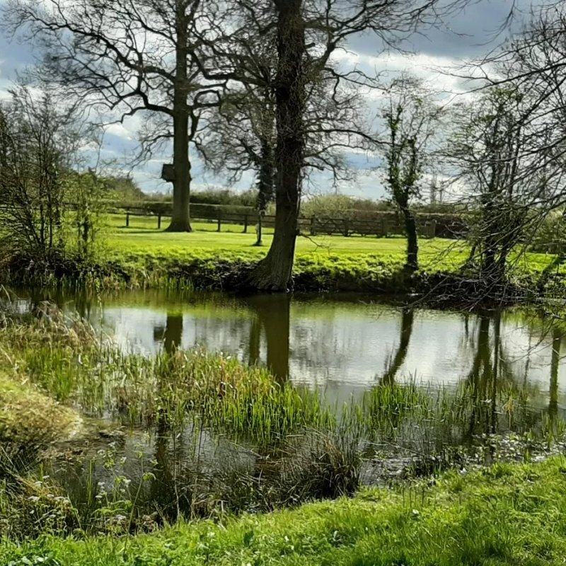 Bedingham Hall Farm