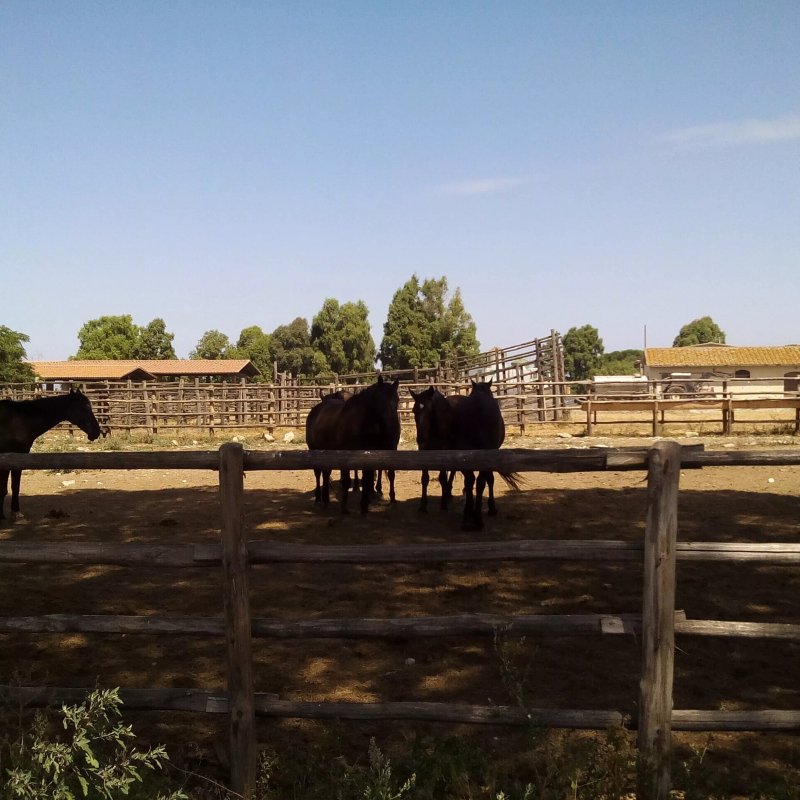 Azienda Agricola Alberese