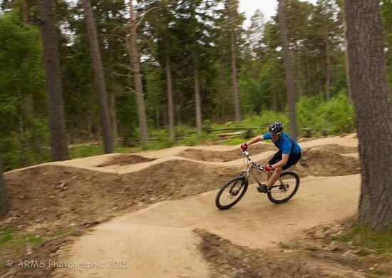 Tarland Trails - Drummy Woods