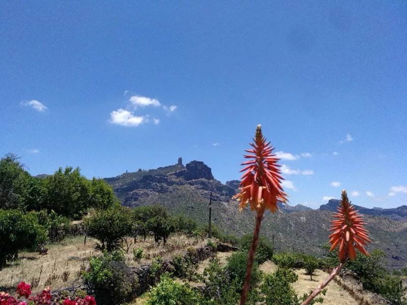 Finca La Isa