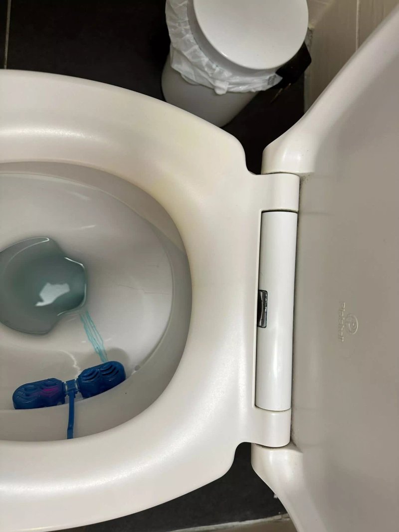 Schonste Lage am Rhein in Unmittelbarer Stadtnahe, B&B