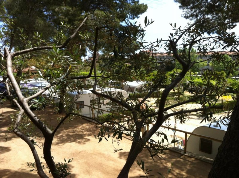 Camping Rifort