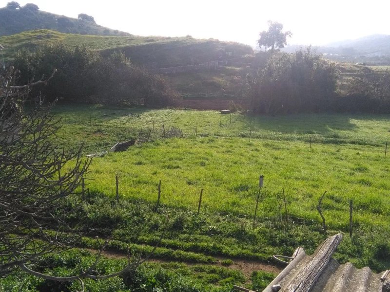 Cortijo Rural El Azahin