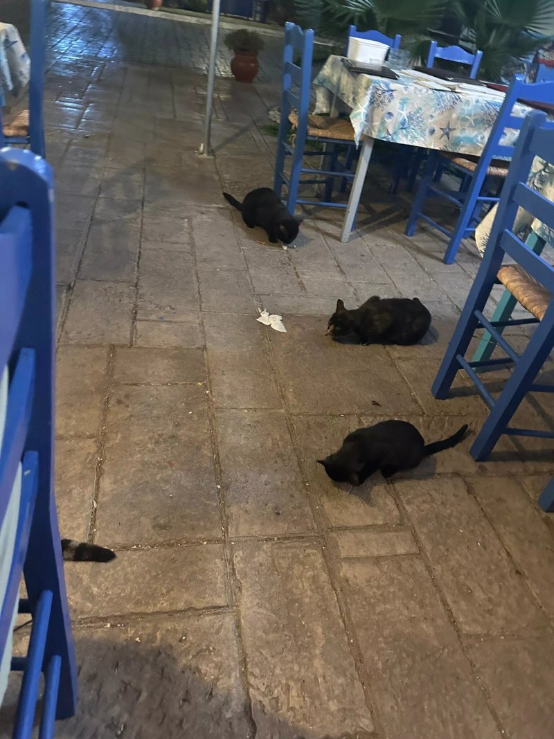 Taverna Michalis