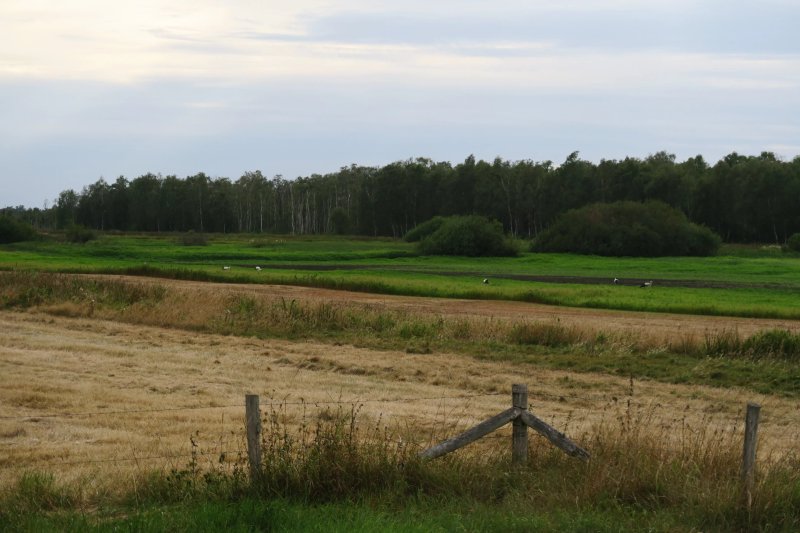 Hoeve Willem III
