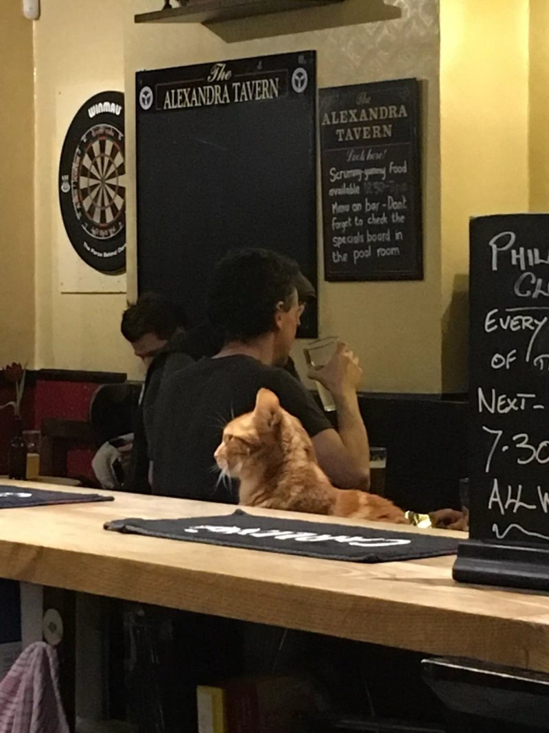Alexandra Tavern