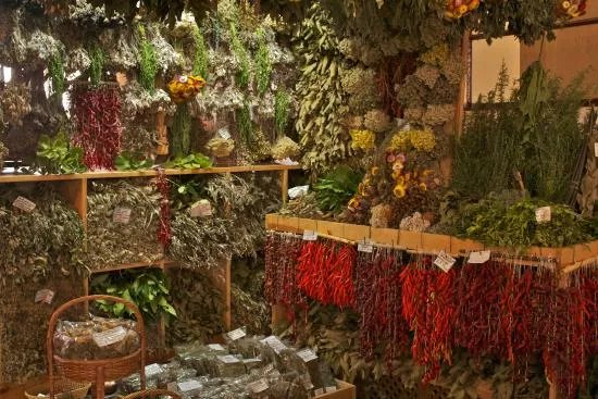 Jose Camara - Herbs and Spices