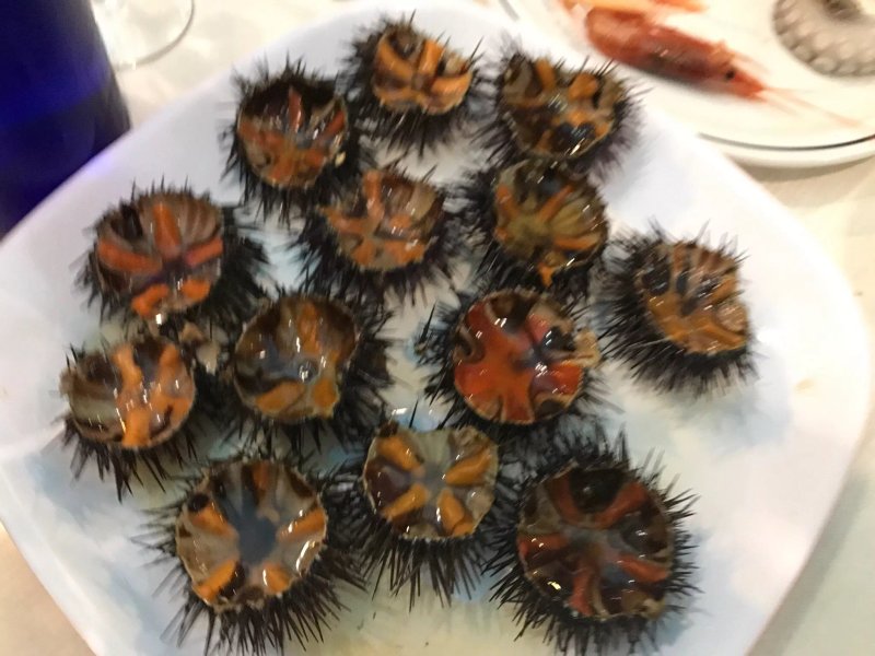 Marintavola da Giacomo