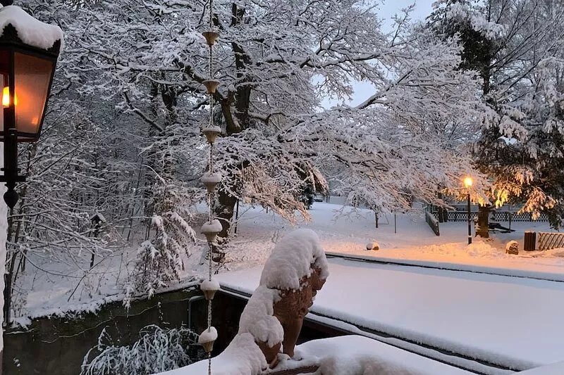 Villa Warzenburg, apartment 3 with a view of the spa promenade. Vacation with a