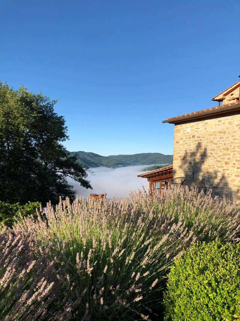Agriturismo Badia Ficarolo