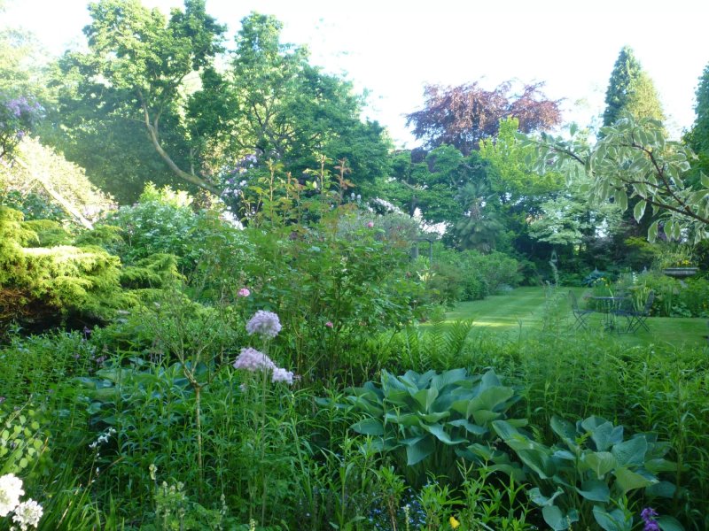 The Ridges