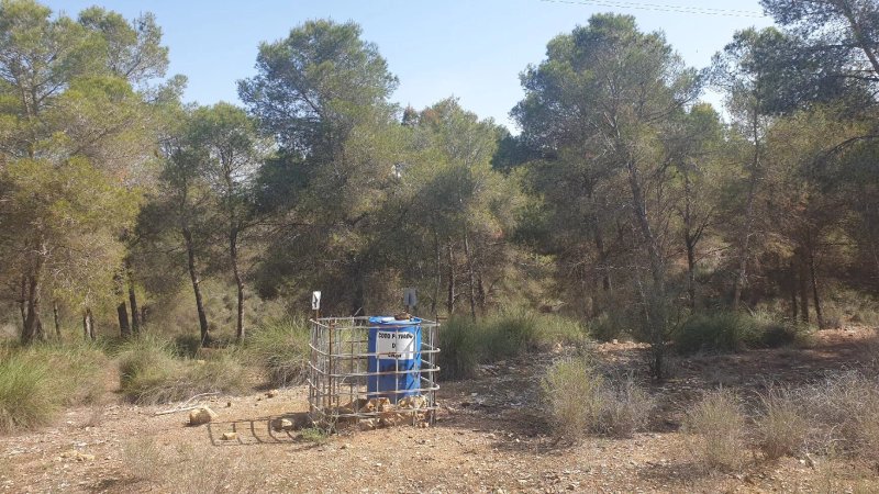 Paraje Majar de Gracia