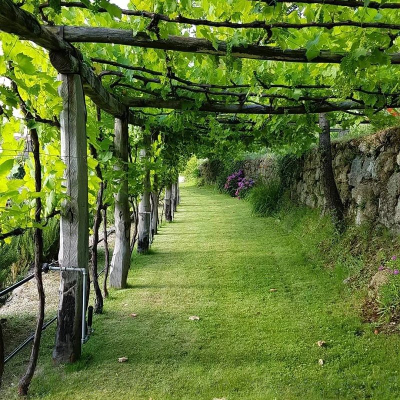 Time in Tuscany, Villas at Podernuovo
