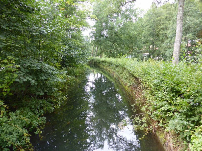 Schwarzwaldcamping Altensteig Mit Gastatatte Holzmichl
