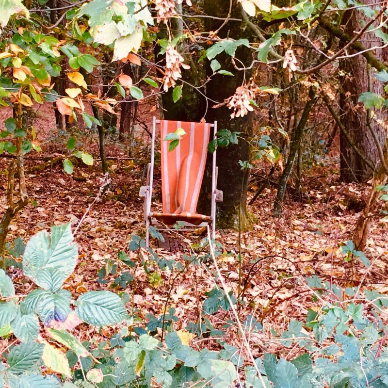 Camping Warnsborn