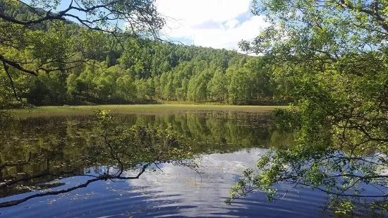 Craigellachie National Nature Reserve