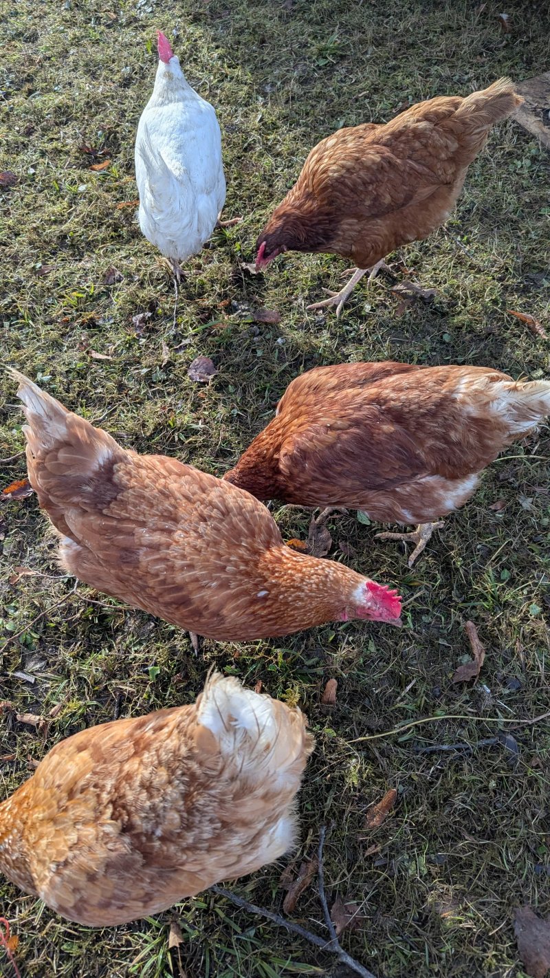 Landgut Wagnerfeld