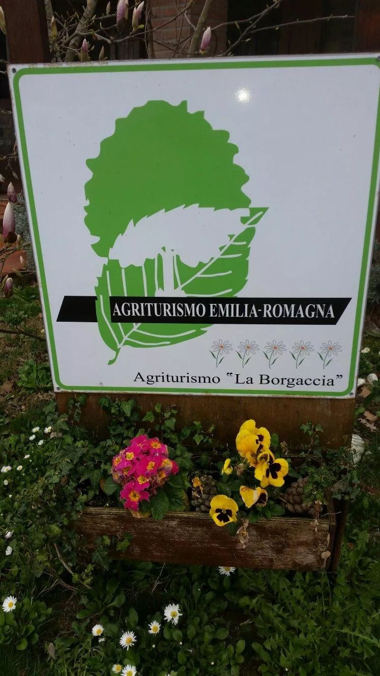 Agriturismo la Borgaccia