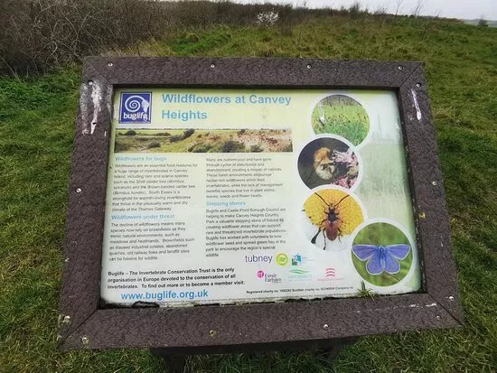 Canvey Heights Country Park