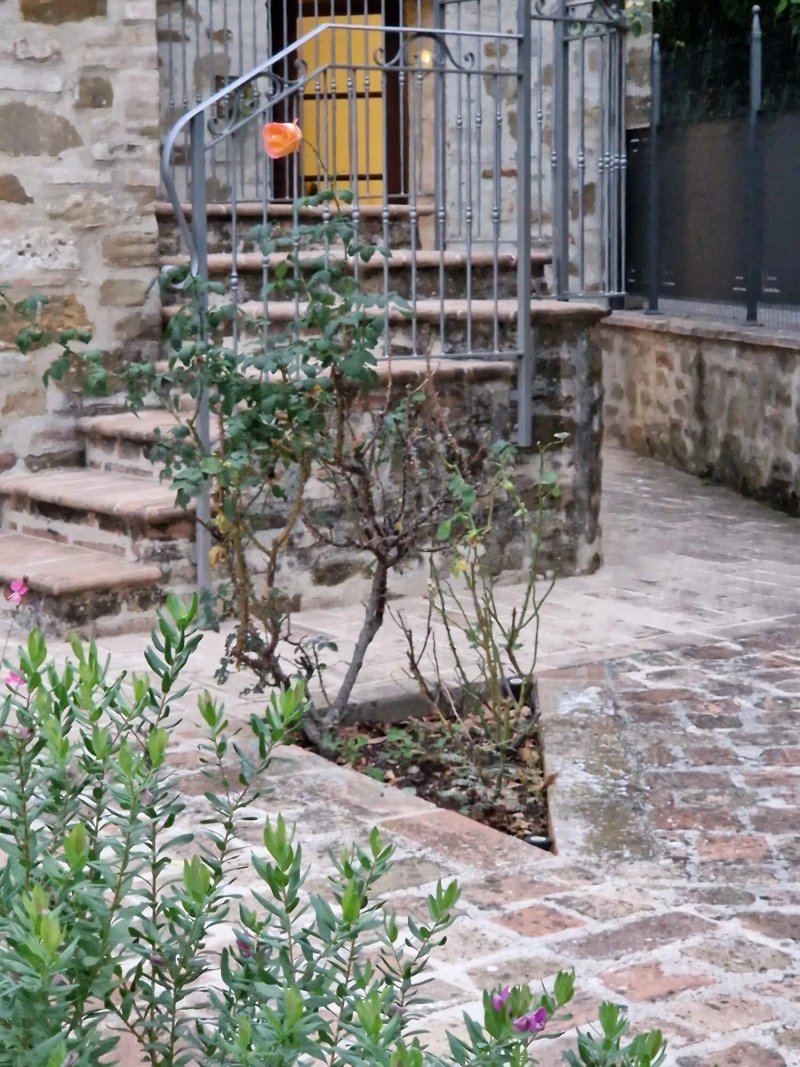 Agriturismo la Palazzetta di Assisi