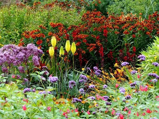 RHS Garden Rosemoor