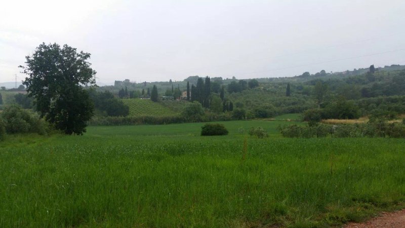 Agriturismo Podere Casciano