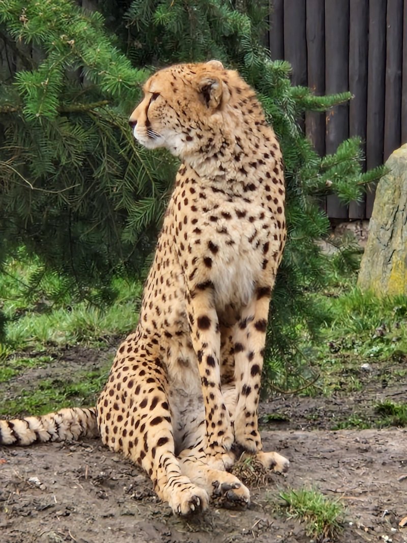 Mission At The Zoo Warsaw