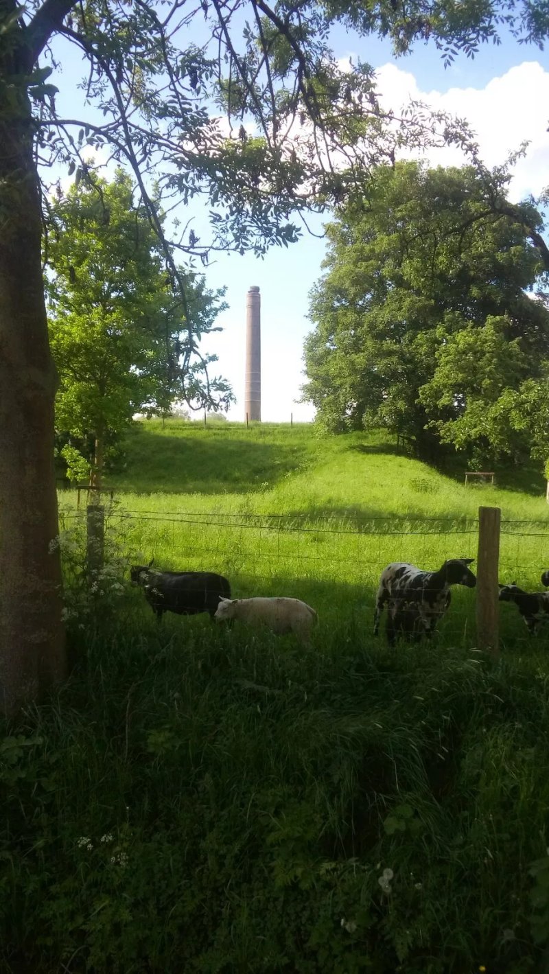 Camperplaats Het Uilennest