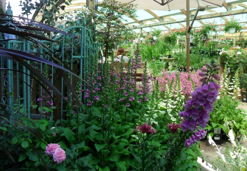 Ross Garden Store