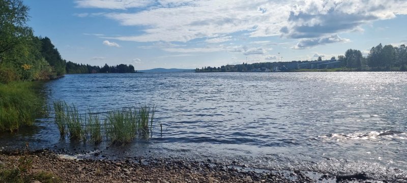 Nordic Horizon