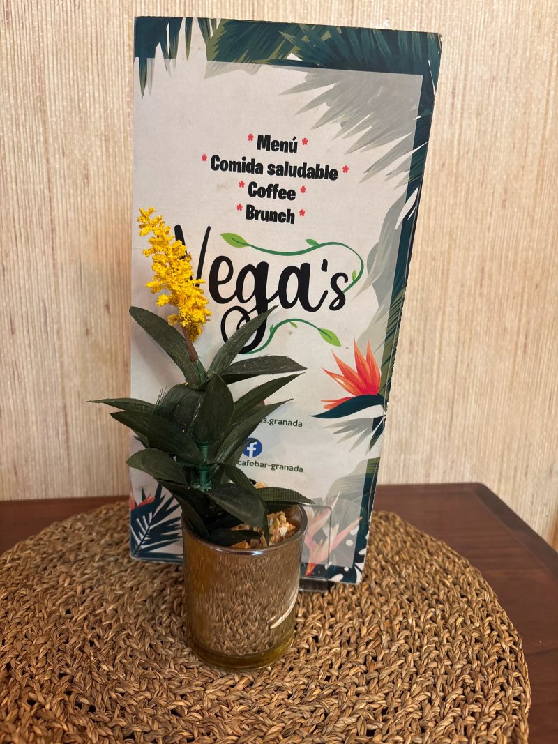 Vega's Cafe