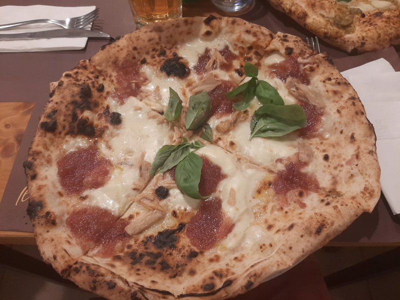 Il Presidente